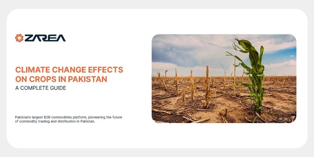 Climate Change Effects on Crops in Pakistan | A Complete Guide